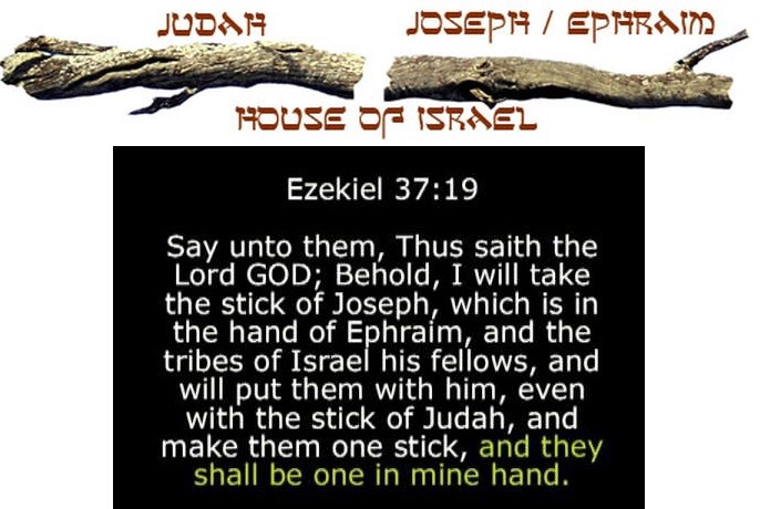Stick of Joseph
