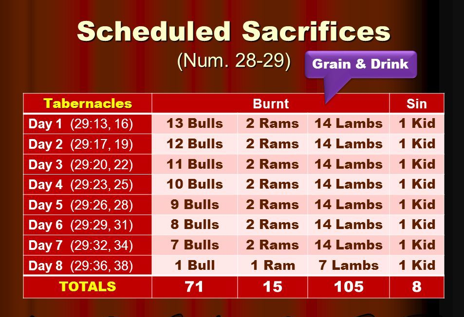 Scheduled+Sacrifices+(Num+)